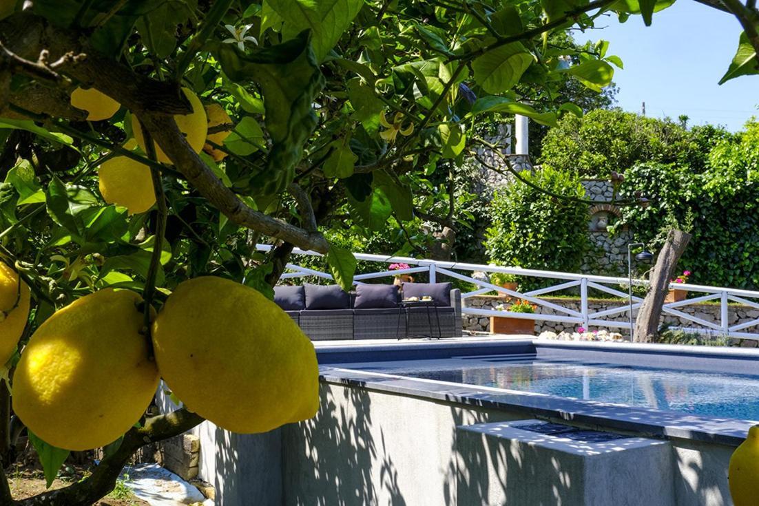 אנה קאפרי Relais Villa Anna מראה חיצוני תמונה