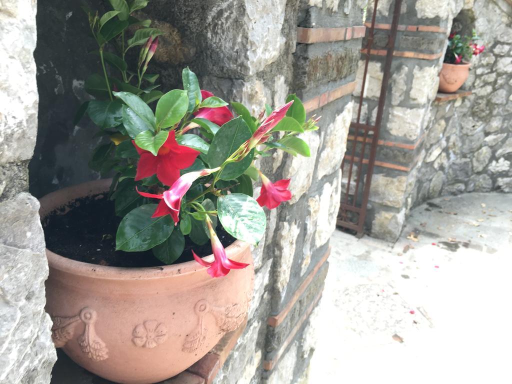 אנה קאפרי Relais Villa Anna מראה חיצוני תמונה