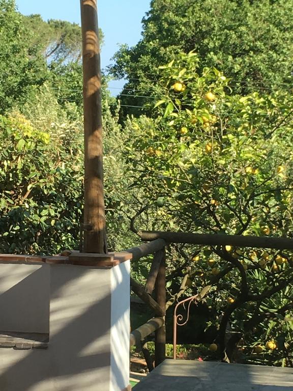 אנה קאפרי Relais Villa Anna מראה חיצוני תמונה